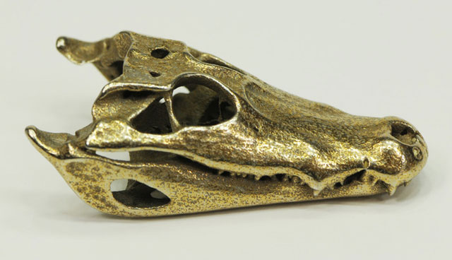 КТ-снимки для 3D печати черепов животных