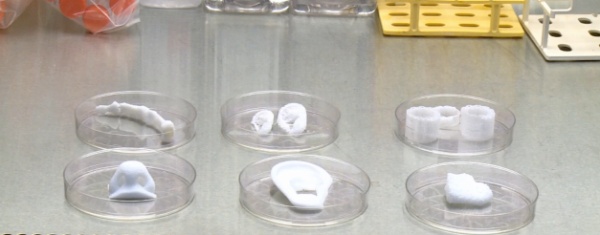 Мелкие 3D печатные органы использовали для разработки и тесты фармацевтических препаратов