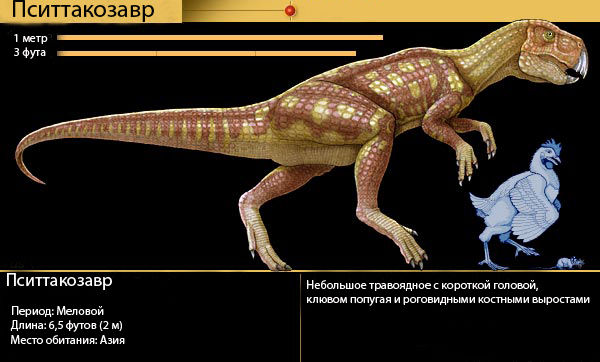 При помощи 3D сканера ученые обусловили вид динозавров