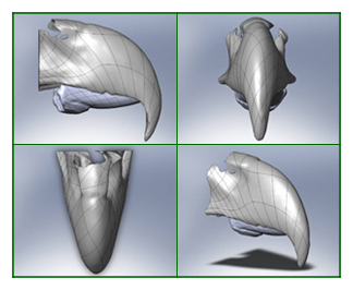 Написанный на 3D принтере клюв для орлана
