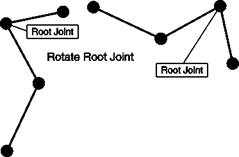 The Root Joint