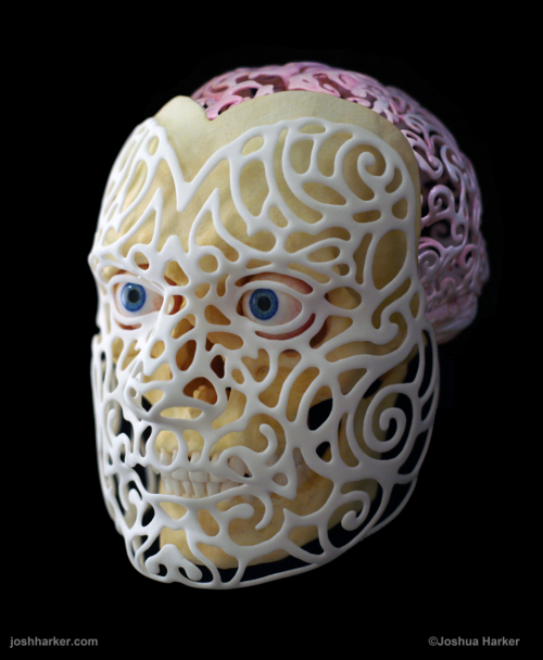 3D печатный портрет и коллекция Цветочная филигрань Джошуа Харкера