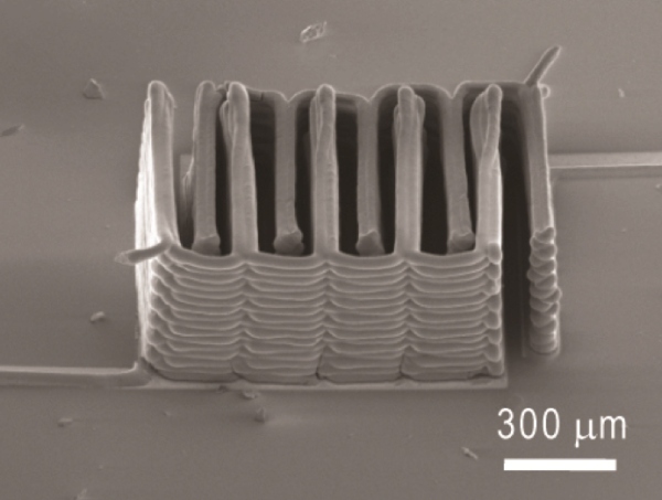 Гарвард показывает принципиальные заслуги в 3D печати литио-ионных аккумов