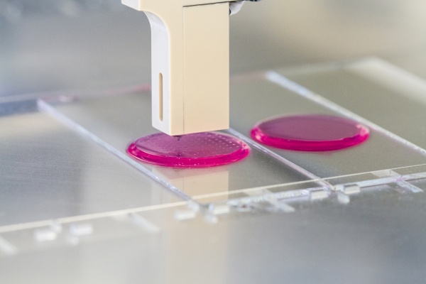 3D печатные желатиновые биочернила – шаг к донорству без доноров