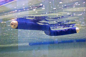 3D печатный электронный угорь умеет плавать и собирать данные