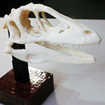 Можно ли 3D напечатать динозавра?