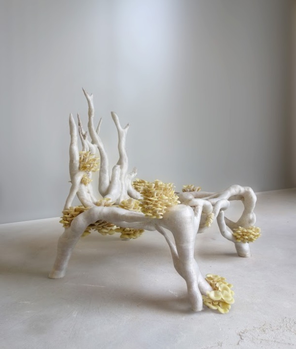 Mycelium Chair – стул из живых организмов