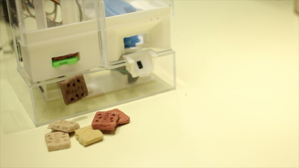 Общедоступный 3D печатный PetBot присмотрит за вашим домашним питомцем