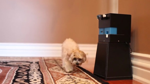 Общедоступный 3D печатный PetBot присмотрит за вашим домашним питомцем