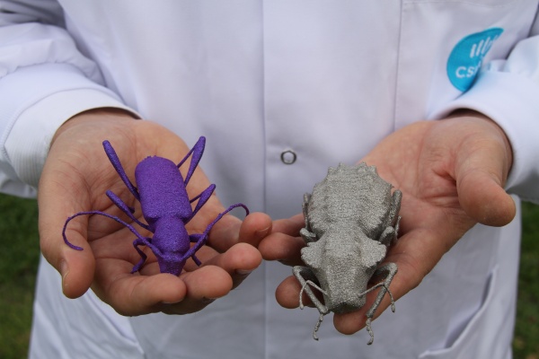 Австралийские ученые напечатали больших жуков на 3D принтере