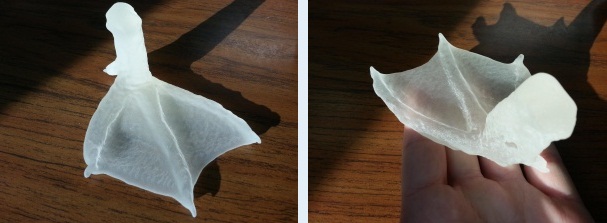 Протез для утенка при помощи 3D печати