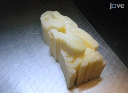 Как напечатать 3D печатный скелет животного на базе КT изображения